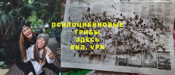 винт Лиски