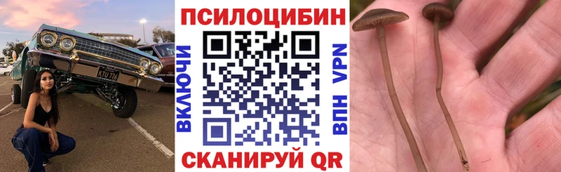 Псилоцибиновые грибы MAGIC MUSHROOMS  Малгобек 