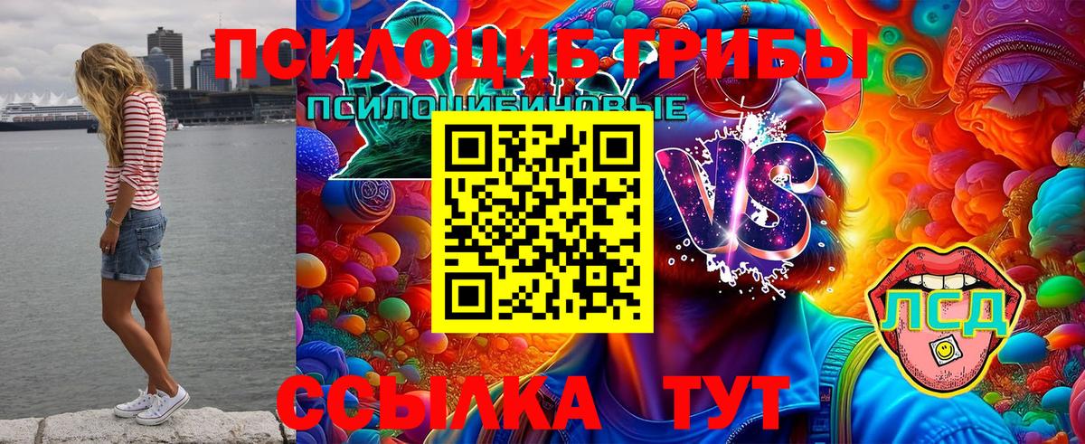 Галлюциногенные грибы GOLDEN TEACHER  Галлюциногенные грибы Psilocybe  Вход с VPN  Малгобек 