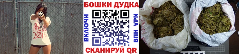 Канабис ГИДРОПОН где найти Малгобек